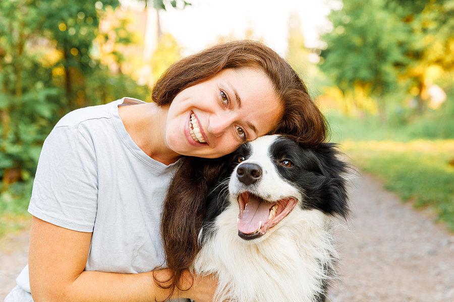 3 Pests Most Dangerous to Your Pet
