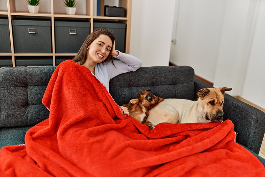 What Are Overwintering Pests
