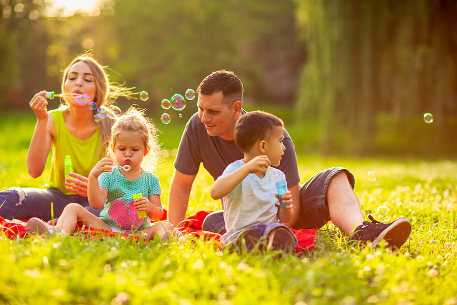 Summer Pest Control Services to Prevent Ants, Termites, and Mosquitoes